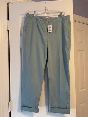 NWT J. Jill Live-in Chino Pants Chalk Blue Cotton Stretch 10P